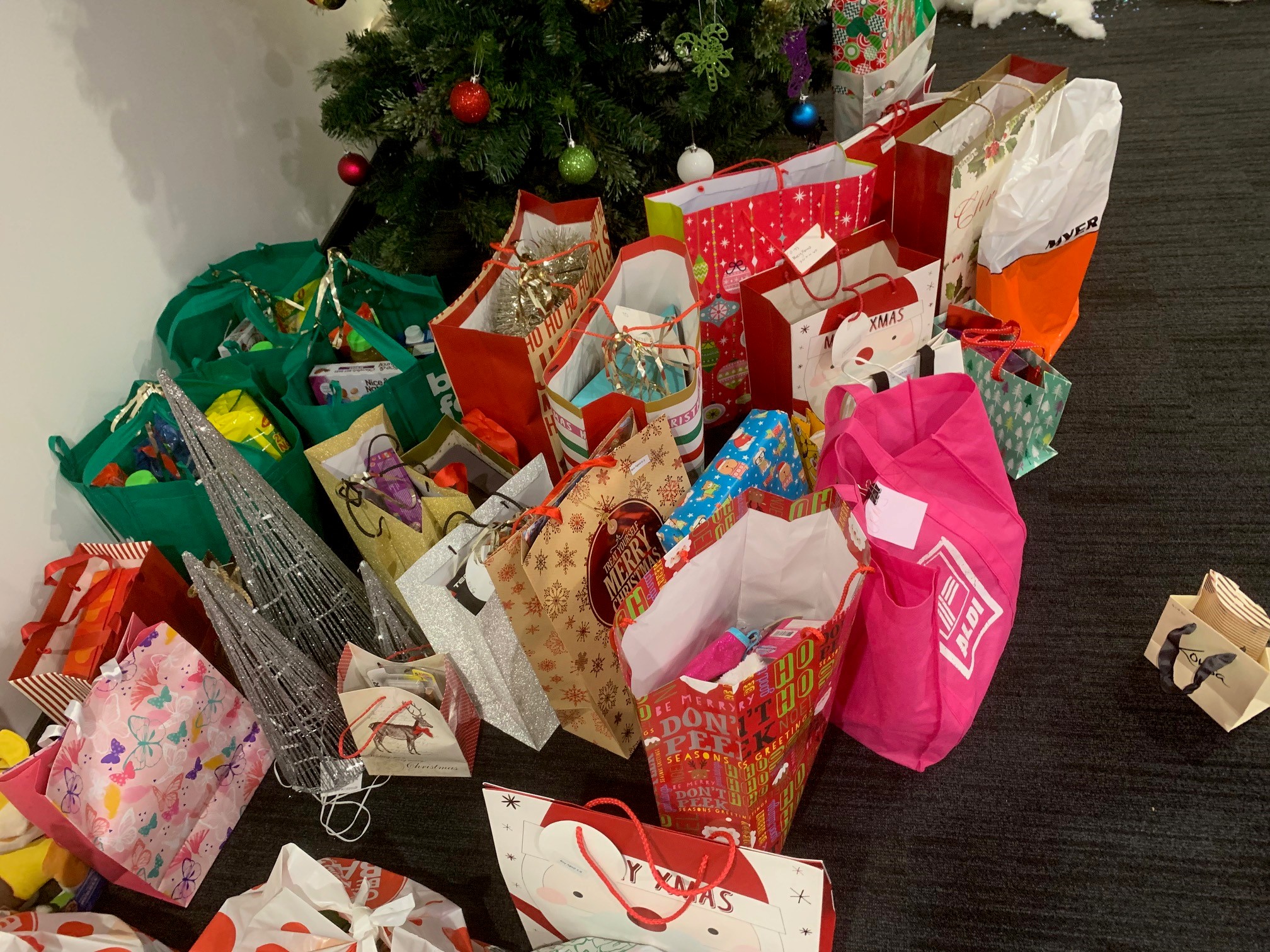 Hudson Homes Helps Spreads Christmas Cheer at Westmead Children’s ...